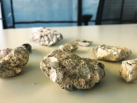 These rocks, owned by Mr. Jim Yanelli, were once part of the Berlin Wall.