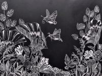 Sealife and the Supernatural: Senching Hsia ’21 Shares Scratchboard Series