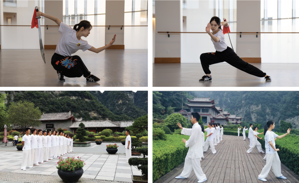 Strength, Style, and Grace — The Art of Kung Fu