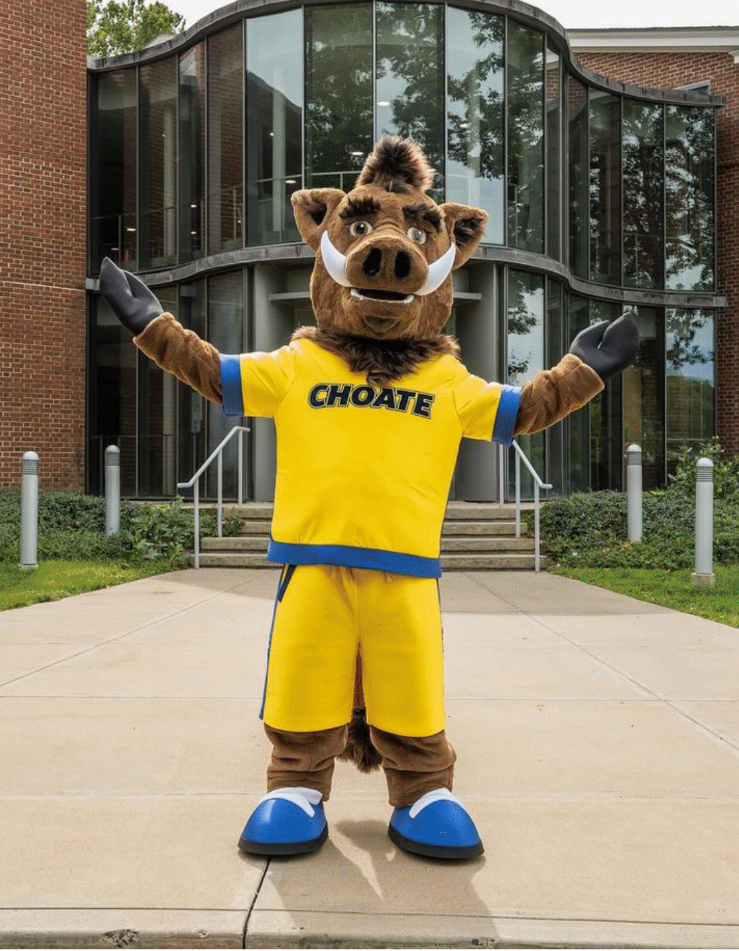 Boars On BILLBOARDS: A top 10 mascot